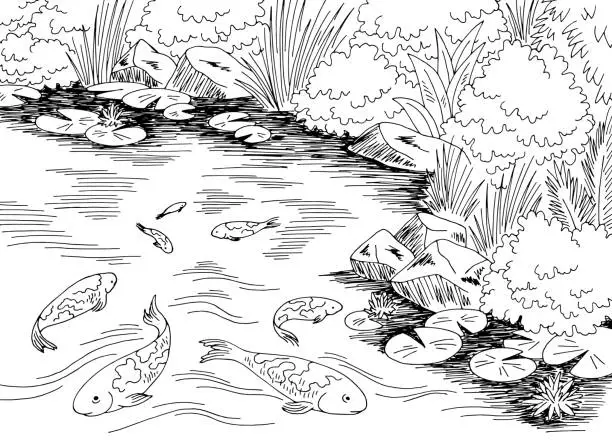 Vector illustration of Pond koi carp fish graphic black white landscape sketch illustration vector