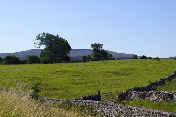 istock Scotland  landscape and green meadows 1206841517