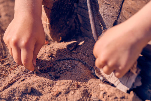 les mains caucasiennes d’enfant creusent dans le sable - sandbox child human hand sand photos et images de collection