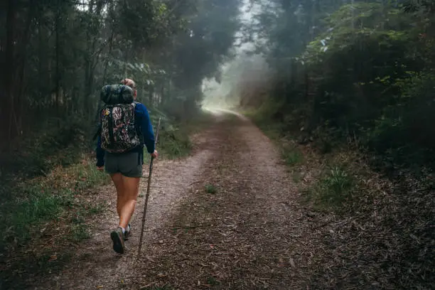 Way of Saint James in Nothern Spain. Pilgrim backpacker female going by the path through Eucalyptus forest back view image shoot. Holy places pilgrimage concept image.
