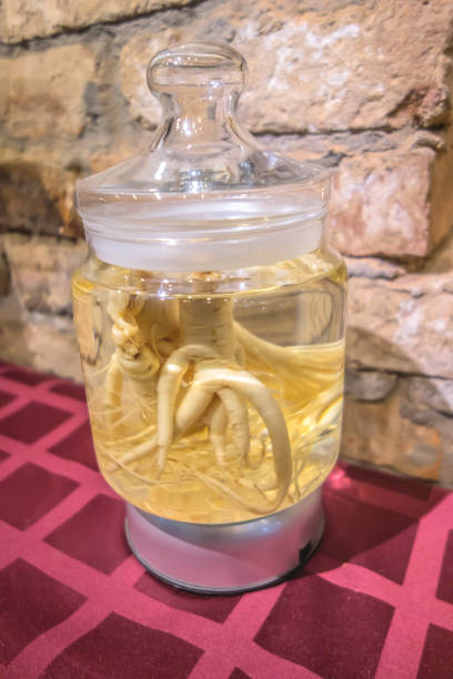 istock Vintage glass bottle with whole ginseng root inside 1206850712
