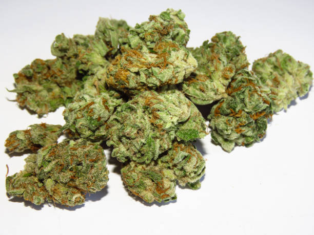 istock Medical cannabis buds 1206853196