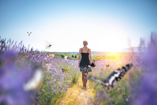 Woman walking down the lavender field. Colorful butterflies are flying around.