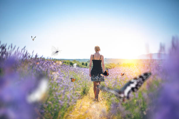 caminhando no campo de lavanda - beauty one woman only spring beauty in nature - fotografias e filmes do acervo