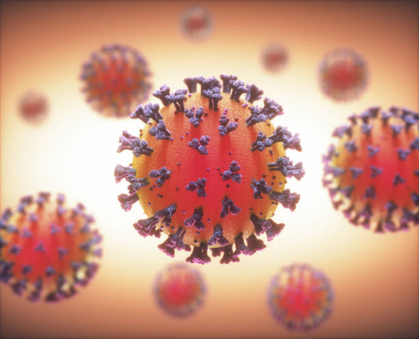 COVID-19 Coronavirus Infections Viruses COVID-19, Coronavirus, group of viruses that cause diseases in mammals and birds. In humans, the virus causes respiratory infections. 3D illustration. biological process stock pictures, royalty-free photos & images