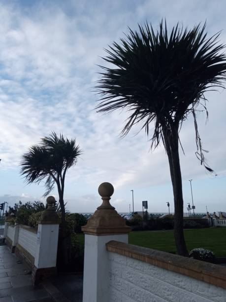 istock Brighton Seaside after Storm with Trees  UK 1206860857