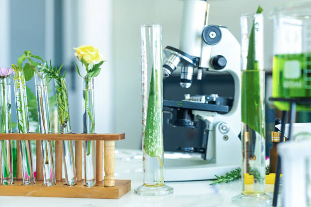 istock Science lab research with microscope for Natural aromatic and essential oil from fresh flower of for new product skin care in laboratory.  Healthy  Natural herb Concept 1206864779