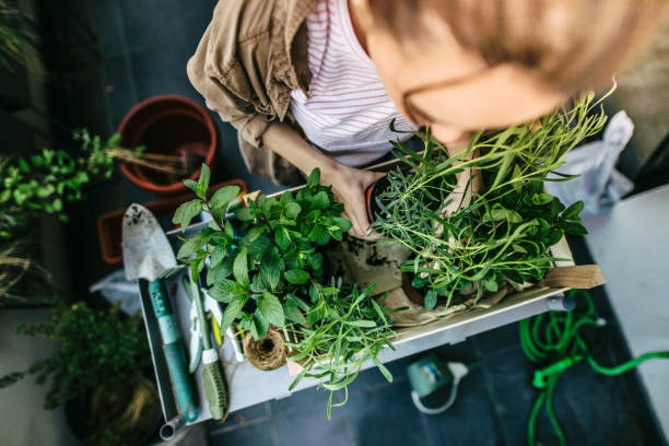 istock Girl loves green! 1206865494