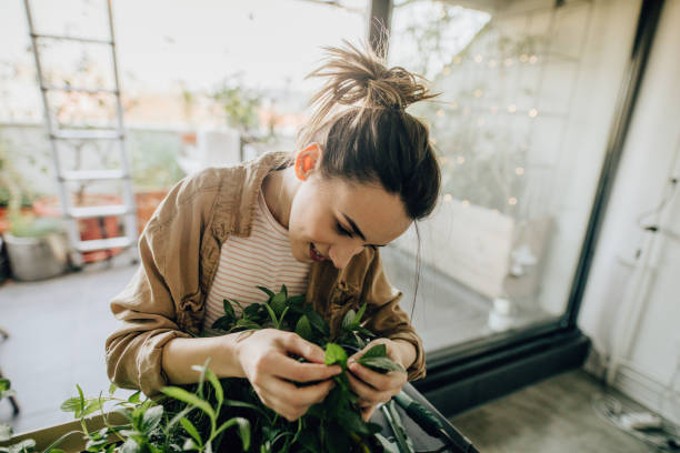 istock Landscaping my balcony garden 1206865521