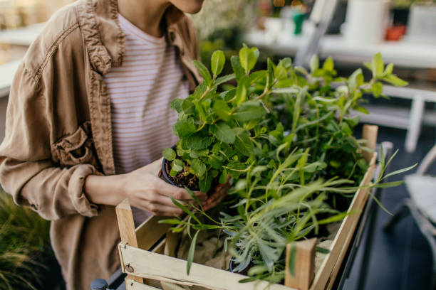istock Girl loves green! 1206865537