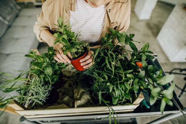 istock Girl loves green! 1206865552