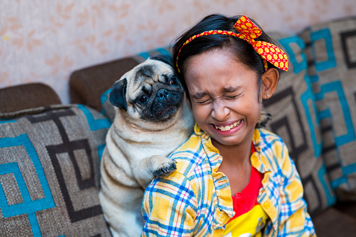 Cute Little Indian Girl Playing With Her Pet Dog Pug Inside Home Stock  Photo - Download Image Now - iStock
