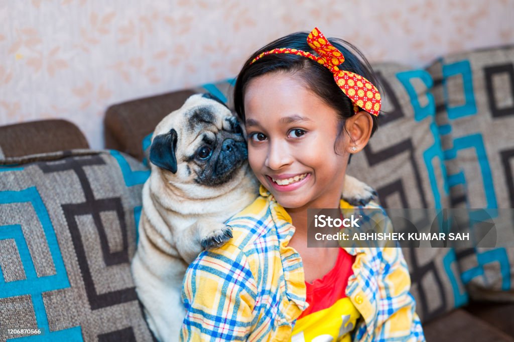Cute Little Indian Girl Playing With Her Pet Dog Pug Inside Home Stock  Photo - Download Image Now - iStock