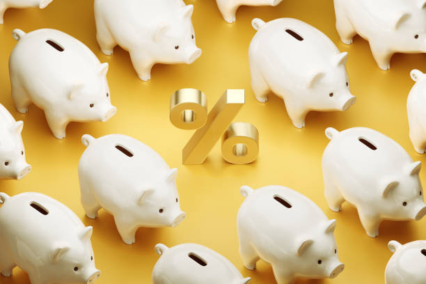istock Interest Rate of Savings 1206872943