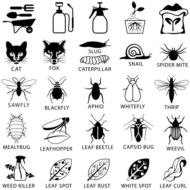 gartenschädlinge und pflanzenkrankheits-ikonen - scale insect stock-grafiken, -clipart, -cartoons und -symbole