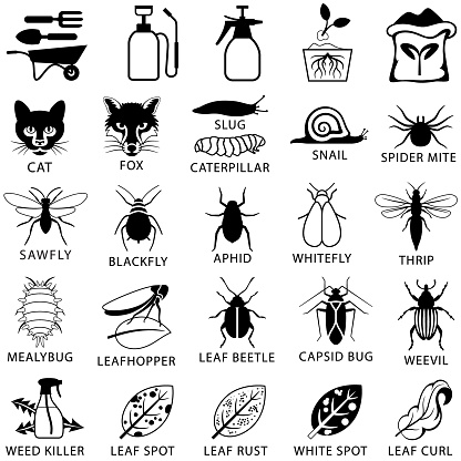 Garden pests and plant disease treatment icons