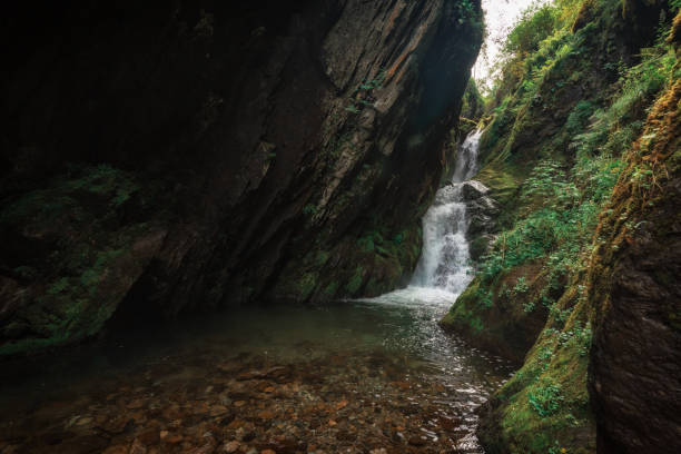 istock Estyube Waterfall at Lake Teletskoye 1206874724