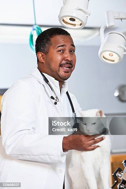 Foto de Afroamericano Gato Veterinários Examinando Paciente e mais fotos de stock de Veterinário