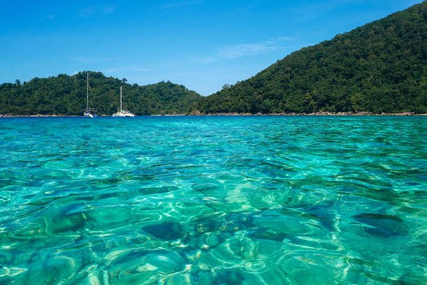istock Surin island, Thailand 1206883696