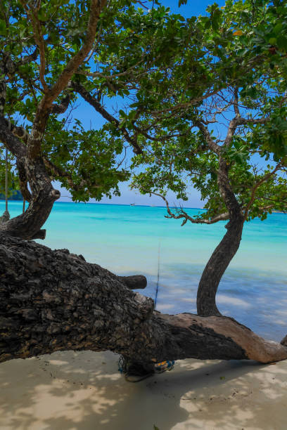 istock Surin Islands of Thailand. 1206884402