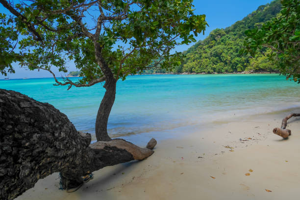 istock Surin Islands of Thailand. 1206885479
