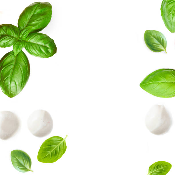 istock Mozzarella,  basil leaf, rosemary and tomatoes  isolated  on white background.Creative layout made of fresh vegetables. Flat lay. Top view 1206888030