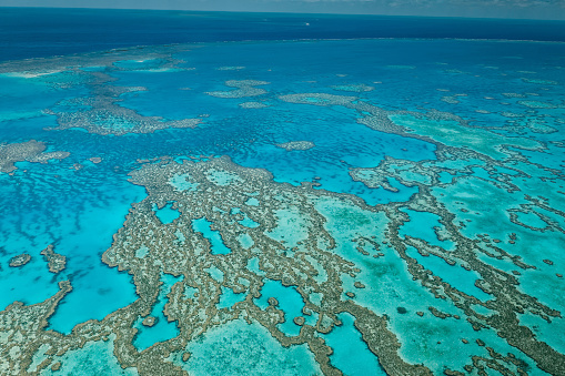 Whitsunday Islands coral reef from the air