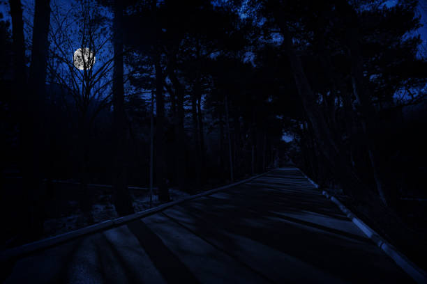 istock Mountain Road through the forest on a full moon night. 1206891081