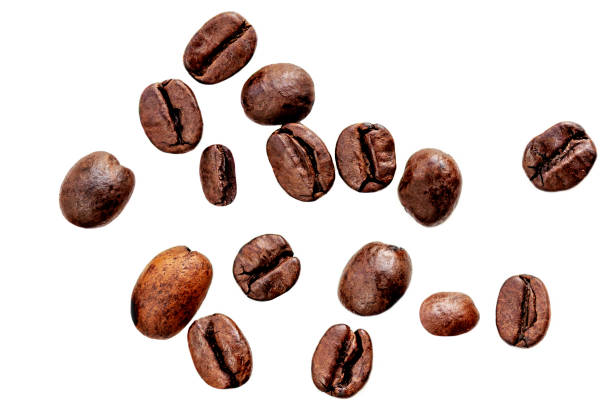 frisch geröstete kaffeebohnen isoliert auf weißem hintergrund. coffeee-konzept. flache lage. draufsicht"n - coffee bean coffee crop cafe isolated stock-fotos und bilder