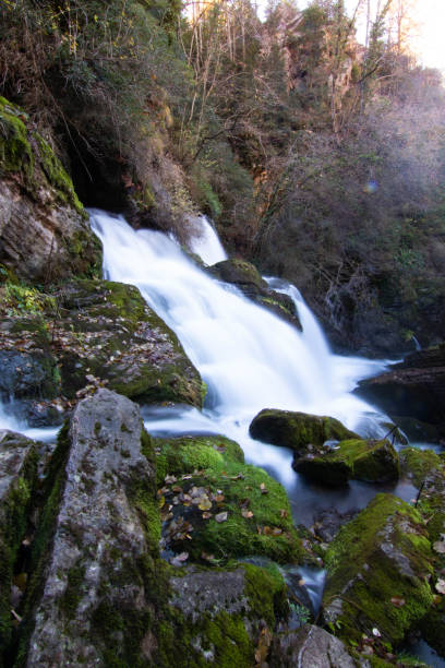 istock Landscape of a waterfall and forest 1206891435