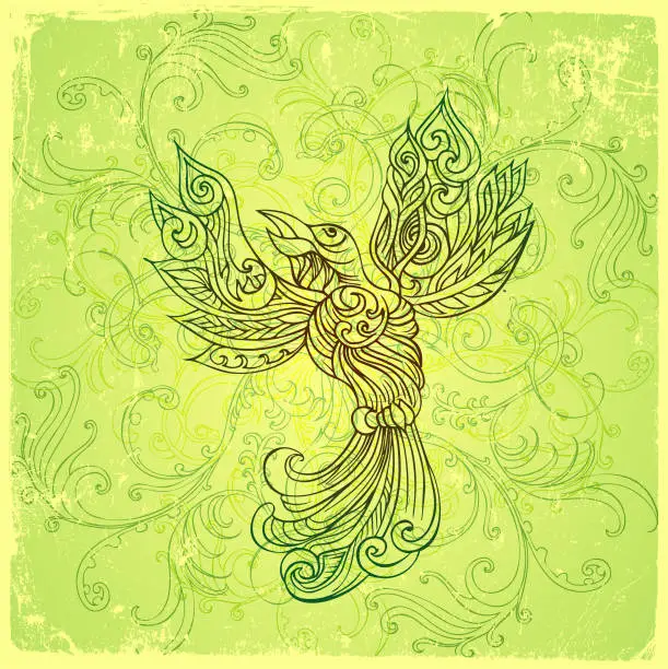 Vector illustration of paradise bird