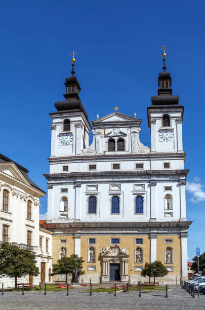 catedral de san juan bautista, trnava, eslovaquia - trnava fotografías e imágenes de stock