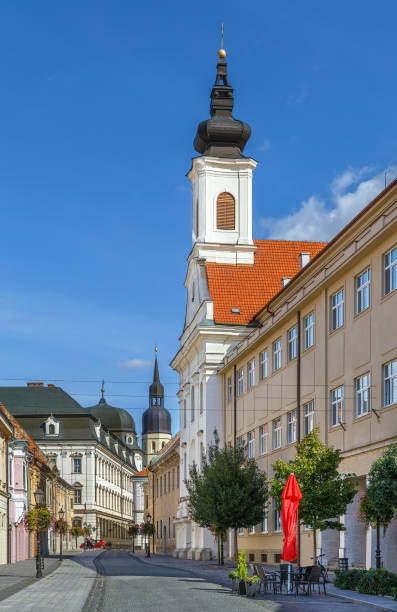 istock Street in Trnava, Slovakia 1206897080
