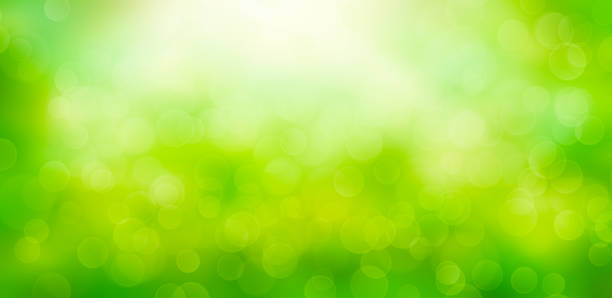 istock Spring nature background with green blurred bokeh lights. 1206897770