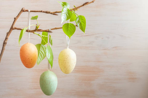 Three pastel color Easter eggs on branch of tree on vintage wood background