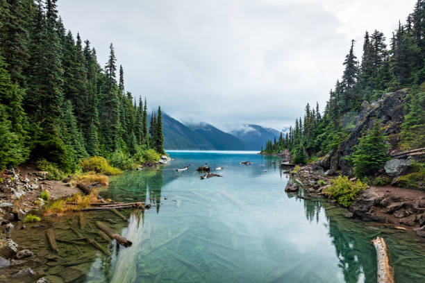 Mountain and trees reflected in Garabaldi Lake Reflections of Trees and Mountains in the clear turquoise colored Garibaldi Lake near Whistler, British Columbia, Canada. garibaldi park stock pictures, royalty-free photos & images