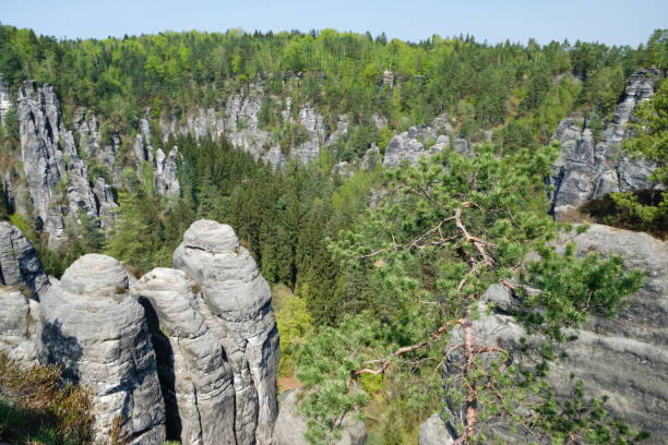 istock Rocks Bastei in Saxon Switzerland National Park 1206904276