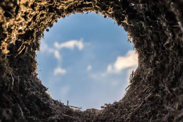Photo of Burrow with the view from the hole towards the sky as a special symbol for planting, mouse hole or molehill