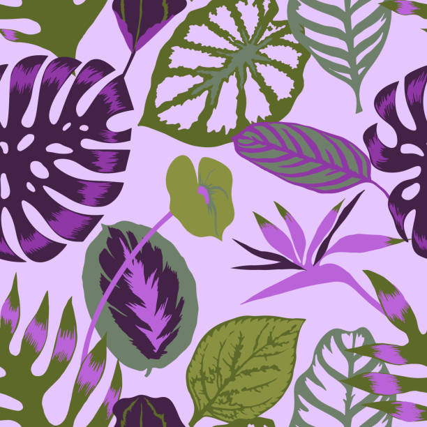 Vector tropical seamless pattern Vector floral seamless pattern with tropical Monstera leaves,Flamingo flower and exotic foliage. Bright botanical pattern with Palm leaves. Backdrop for fabric, textile, wrapper or surface. violet flower vector stock illustrations