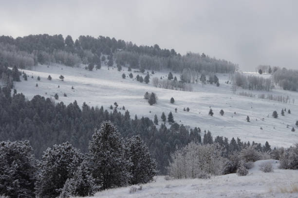 istock Heavy Snow in the Rockies 1206911059