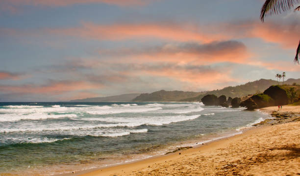 istock Tropical Beach and Rough Surf at Dusk 1206911871