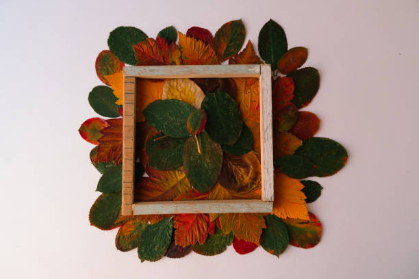 Lots of yellow beautiful autumn leaves on wooden boards background. Place for text.