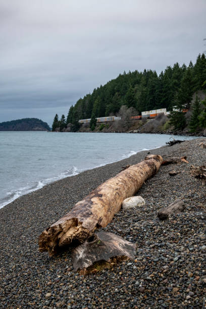 istock Freight train at the Sequalitchew Creek Trail beachfront in Washington State 1206917136