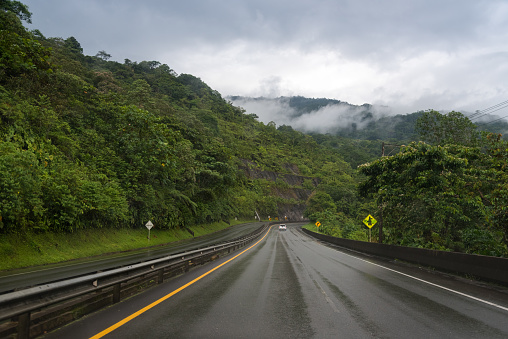 Road wet by rain among lush vegetation. Colombia