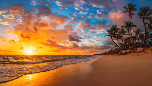 Landscape of paradise tropical island beach, sunrise shot Landscape of paradise tropical island beach, sunrise shot caribbean beach sunset stock pictures, royalty-free photos & images
