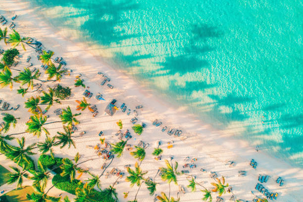 vista aerea di spiaggia tropicale esotica e mare - us virgin islands foto e immagini stock
