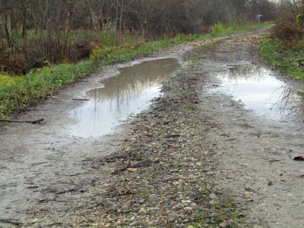 istock A dirt road by the canal 1206925091