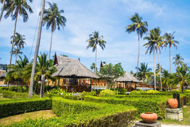 istock Traditional beach bungalows and coconut palms on Koh Phi Phi island, Thailand 1206925885