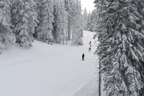 istock skiers on the trail on the mountain 1206927491