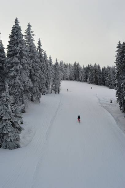 istock skiers on the trail on the mountain 1206927522